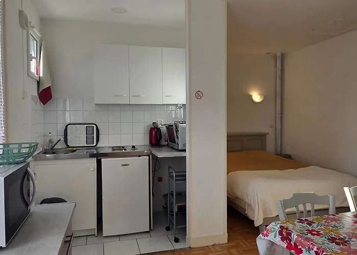 Apartamento Cosy Avec Wifi, Jardin Et Parking à - Fr-1-541-188